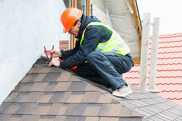 Best Roof Gutter Cleaning  in Grant, AL
